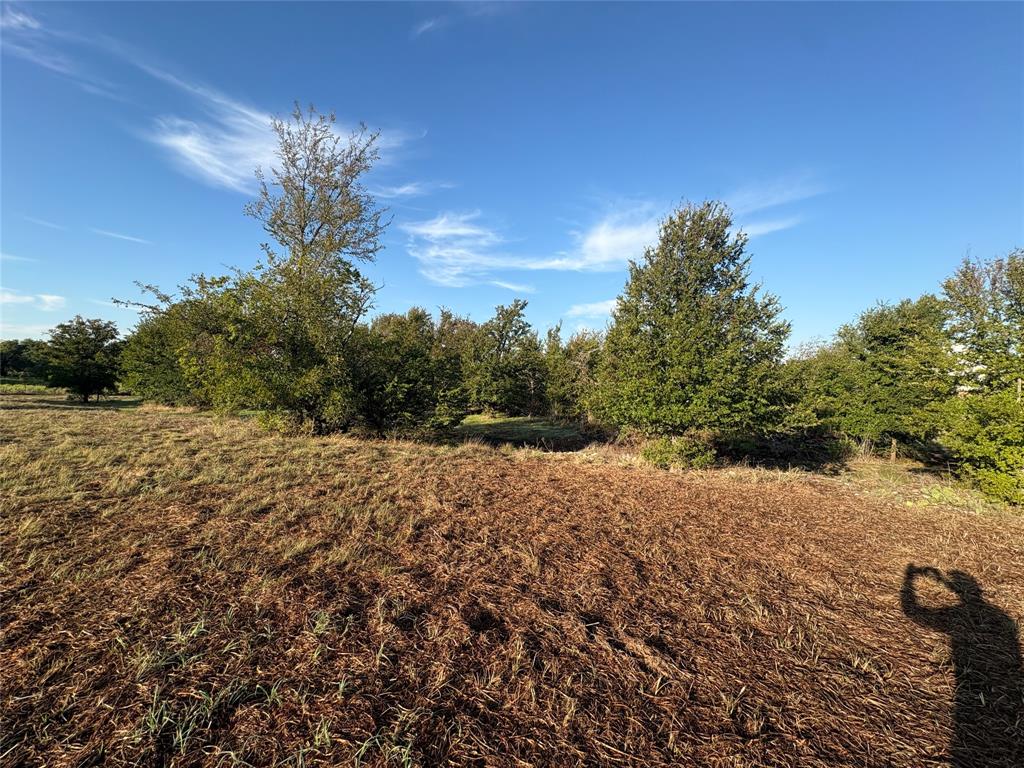 7933 Lax Drive - Photo 3