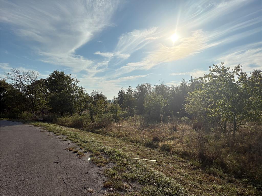 7933 Lax Drive - Photo 6