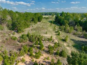 0 Corrigan Trails Boulevard - Photo 12