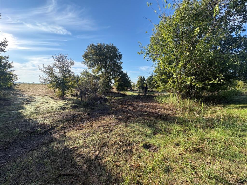 7943 Lax Drive - Photo 2