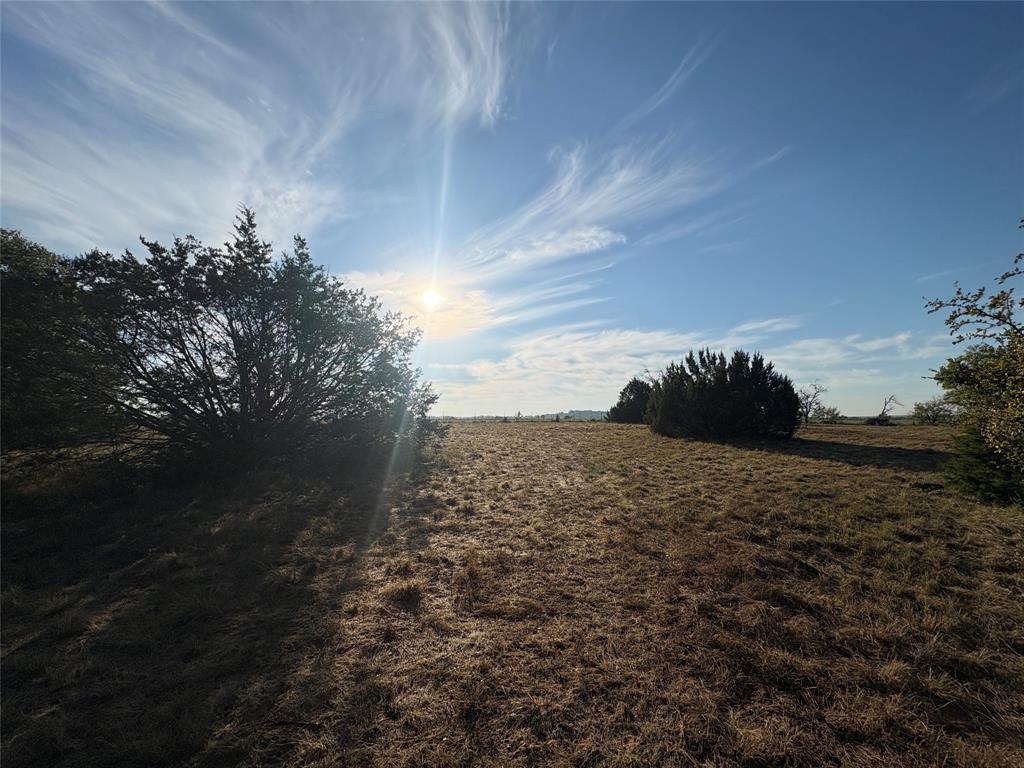 7943 Lax Drive - Photo 3