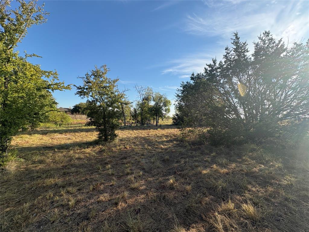 7943 Lax Drive - Photo 4