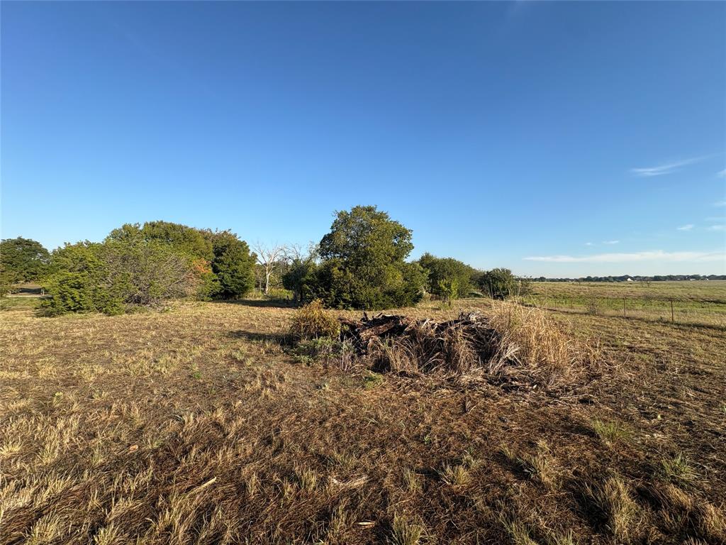 7943 Lax Drive - Photo 7