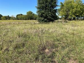 TBD County Road 2311 - Photo 9