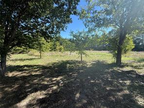 9191 Fm 2862 - Photo 8