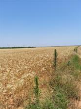 CR 134 County Road - Photo 10