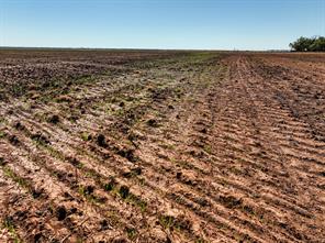 CR 134 County Road - Photo 7