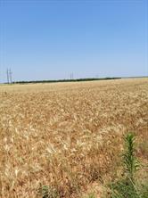 CR 134 County Road - Photo 9