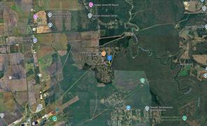 238 County Road 441 - Photo 4