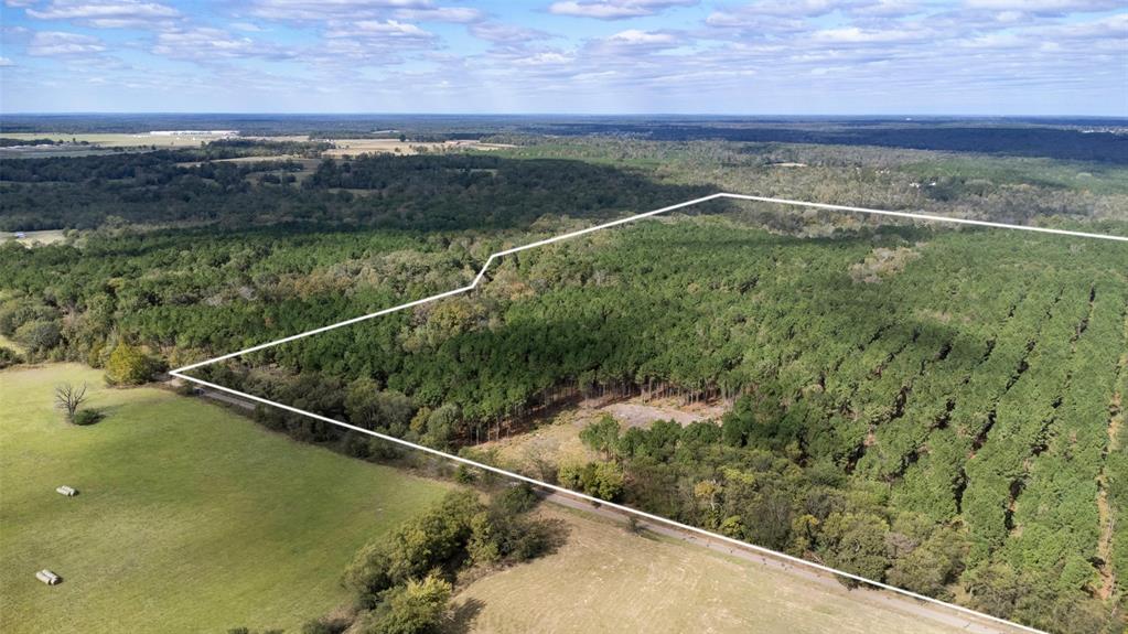 TBD Wolf Road - Photo 16