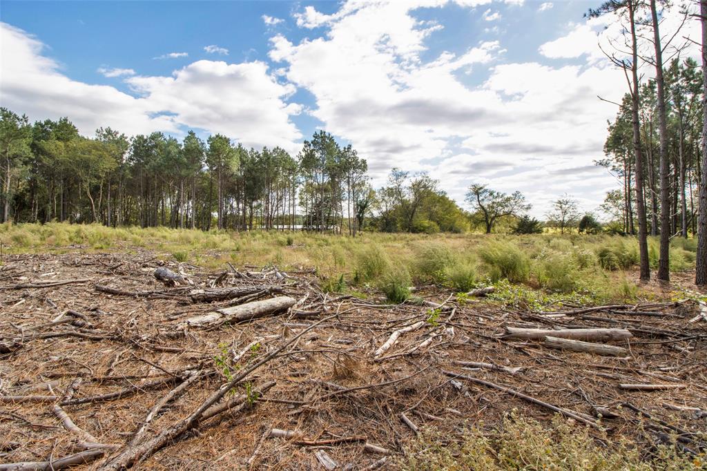 TBD Wolf Road - Photo 17
