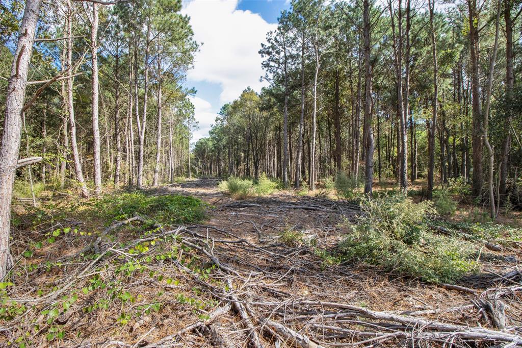 TBD Wolf Road - Photo 9