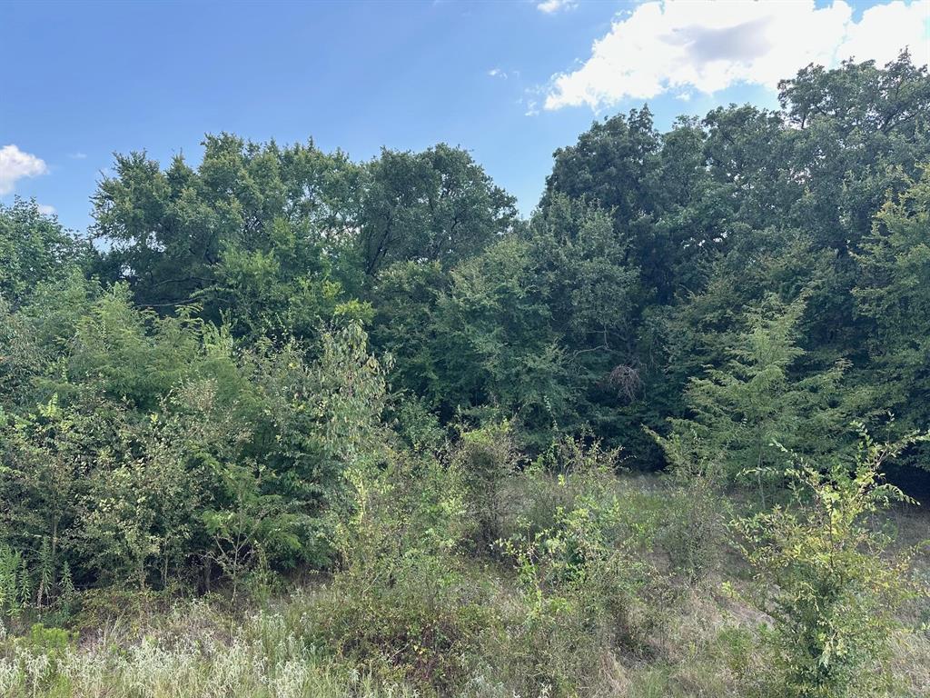 RS Private Road 6372 - Photo 3