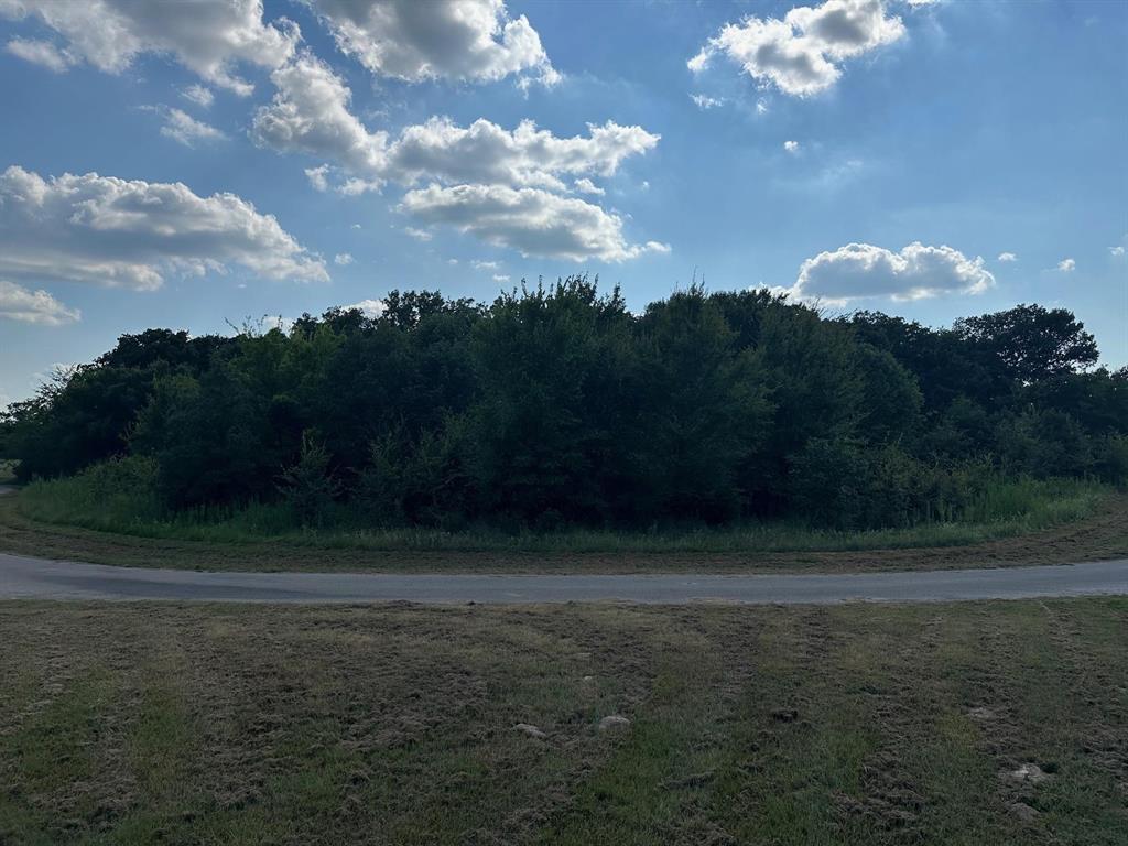 RS Private Road 6372 - Photo 5