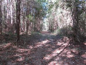 21471 N Fm 95 - Photo 15