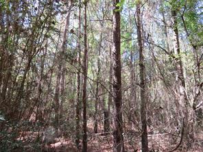 21471 N Fm 95 - Photo 3