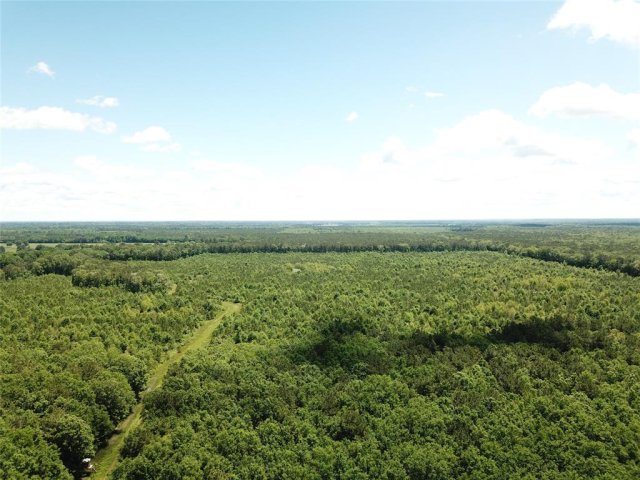 00 County Road 4223