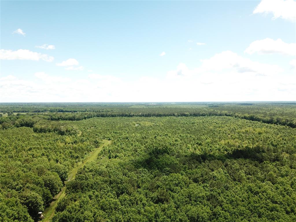 00 County Road 4223 - Photo 1