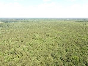 00 County Road 4223 - Photo 19