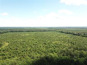 00 County Road 4223 - Photo 2