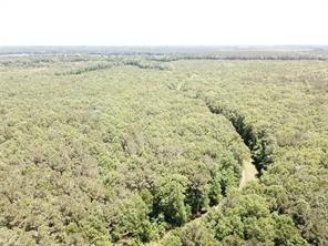 00 County Road 4223 - Photo 23