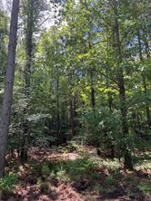 00 County Road 4223 - Photo 28