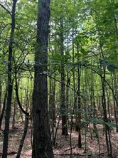 00 County Road 4223 - Photo 29