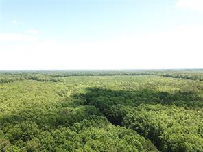 00 County Road 4223 - Photo 3