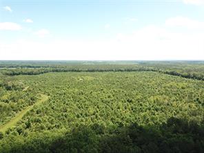 00 County Road 4223 - Photo 4