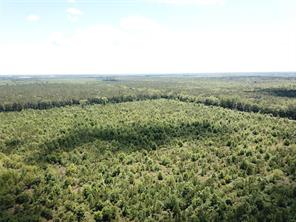 00 County Road 4223 - Photo 6