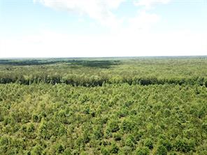 00 County Road 4223 - Photo 7