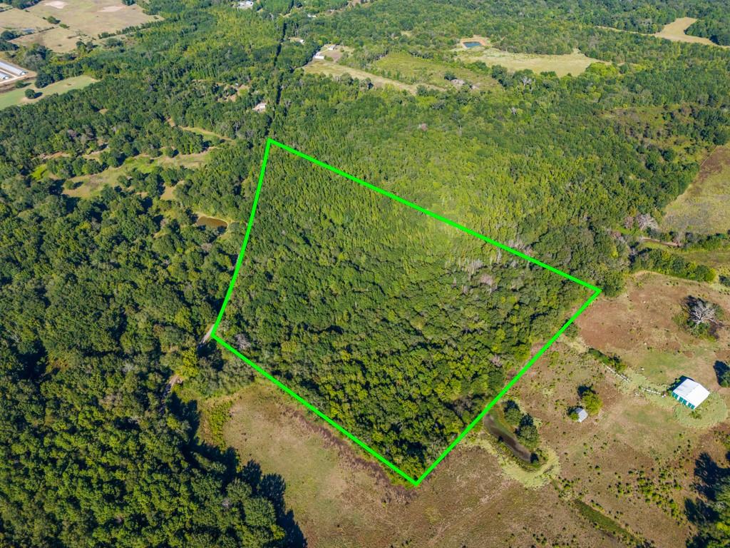TBD County Road 3324, 24 Ac - Photo 1