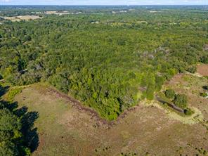 TBD County Road 3324, 24 Ac - Photo 10