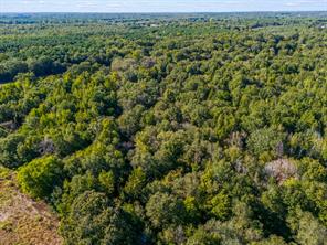 TBD County Road 3324, 24 Ac - Photo 11