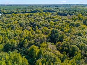 TBD County Road 3324, 24 Ac - Photo 12