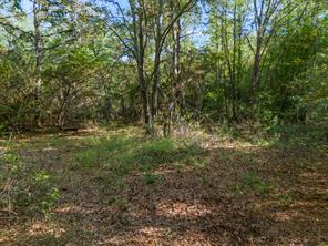 TBD County Road 3324, 24 Ac - Photo 2