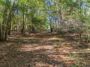 TBD County Road 3324, 24 Ac - Photo 3
