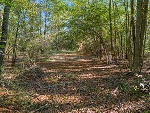 TBD County Road 3324, 24 Ac - Photo 4