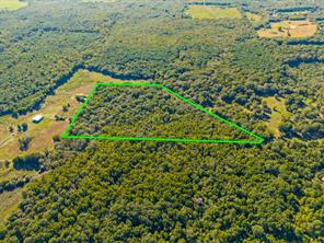 TBD County Road 3324, 24 Ac - Photo 6