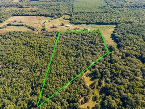 TBD County Road 3324, 24 Ac - Photo 8
