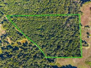 TBD County Road 3324, 24 Ac - Photo 9