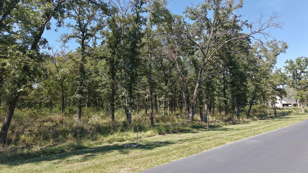 6923 Lakeshore Way - Photo 3