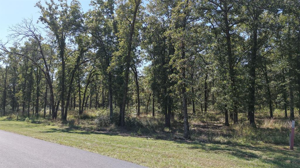 6923 Lakeshore Way - Photo 4