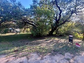 TBD County Road 1704 - Photo 2