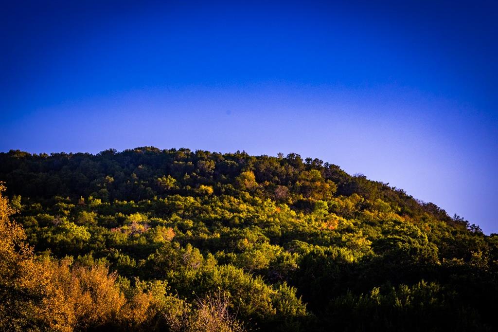 2023 Jesse's Run Rd - Photo 16