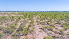 8773 W Lake Road - Photo 26