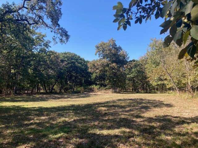 8840 Timber Ridge