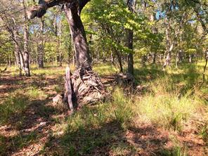 8840 Timber Ridge - Photo 14
