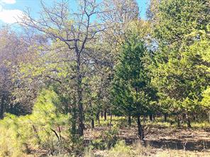 8840 Timber Ridge - Photo 20