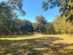 8840 Timber Ridge - Photo 3